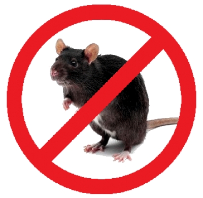 Санитарно-эпидемиологической станцией Администрации г. Сухума проводится сплошная дератизация городских территорий (незастроенные участки, разрушенные строения, парковые зоны и т.д.).