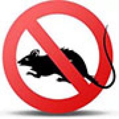 В Сухуме продолжается весенняя дератизация